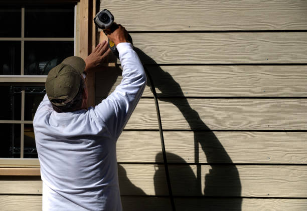 Best Custom Siding Design  in Mead, CO