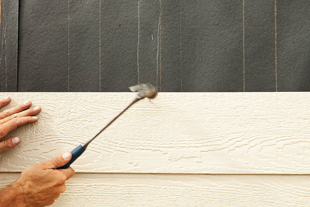 Best Siding Painting and Refinishing  in Mead, CO